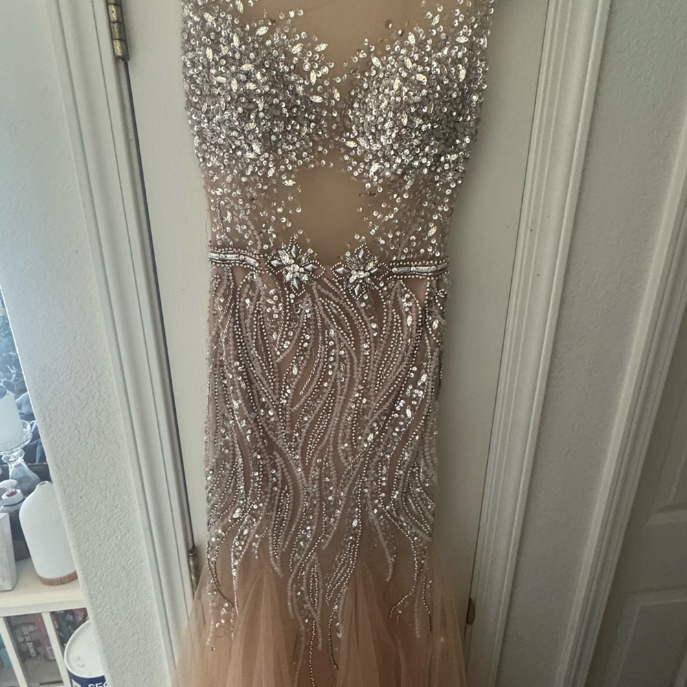 Terani Couture Silver and Tan Embellished Gown